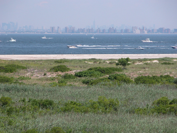View of NYC across Jamaica Bay